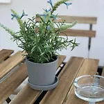 High 5 Apartmán Štýrský Hradec